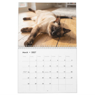 mysiga sovande katter | Sött kattfoto-kalender Kalender