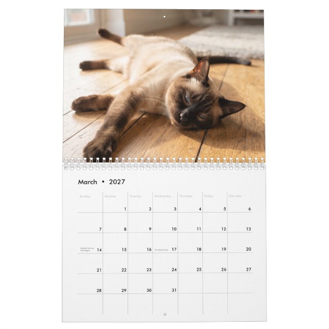  mysiga sovande katter | Sött kattfoto-kalender Kalender (Mar 2027)