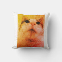 Mysigt Cat Dreams Pillow
