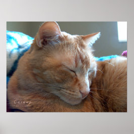 Mysigt Catnap Poster