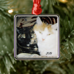 Mysigt Cheek to Cheek Cats Photo med Year Julgransprydnad Metall
