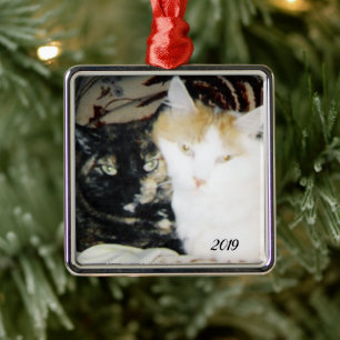 Mysigt Cheek to Cheek Cats Photo med Year Julgransprydnad Metall