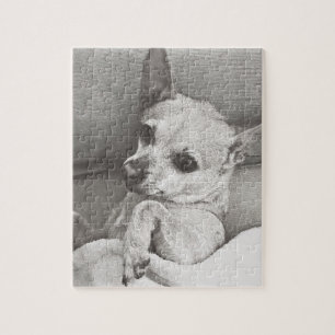 Mysigt Chihuahuapussel Pussel