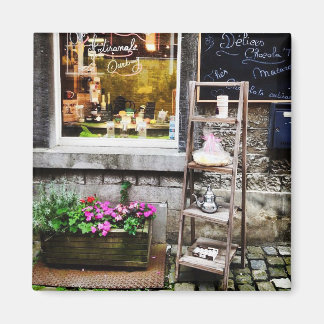 Mysigt gata i Belgien Magnet