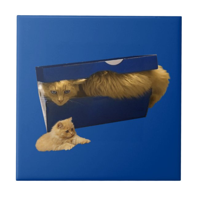 "Mysigt hideaway: Ginger Cat in the Shoe Box" Kakelplatta (Framsidan)