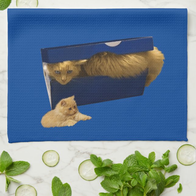 "Mysigt hideaway: Ginger Cat in the Shoe Box" Kökshandduk (Vikta)