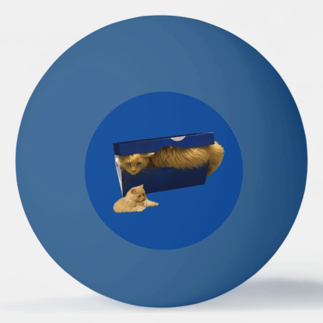 "Mysigt hideaway: Ginger Cat in the Shoe Box" Pingisboll (Framsidan)