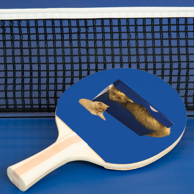 "Mysigt hideaway: Ginger Cat in the Shoe Box" Pingisracket (Insitu)