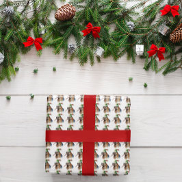 Mysigt jul Kiwi Presentpapper