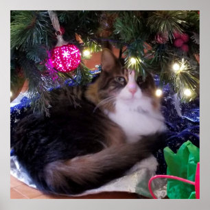 Mysigt julkatt under träd poster