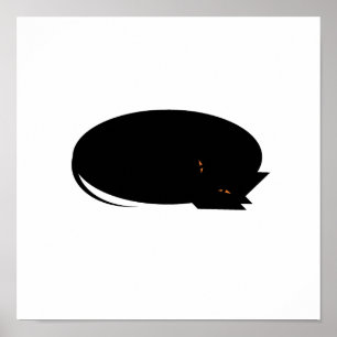 Mysigt katt poster