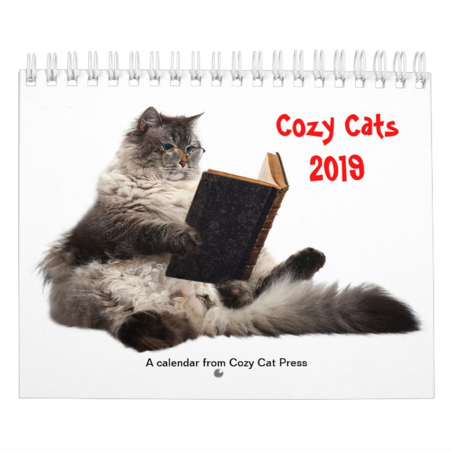 Mysigt kattkalender 2019 kalender (Omslag)