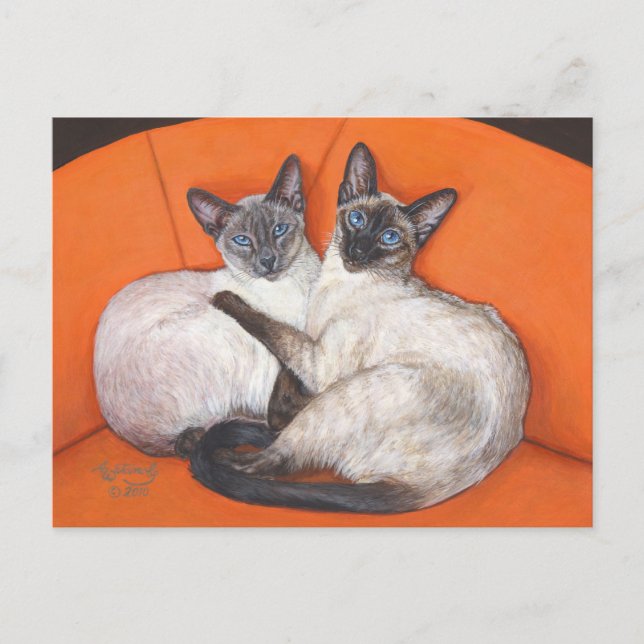 Mysigt par siamesiskt katt vykort (Framsida)