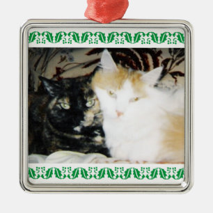 Mysigt Photo Two Cats Grönt Holly Gräns Julgransprydnad Metall