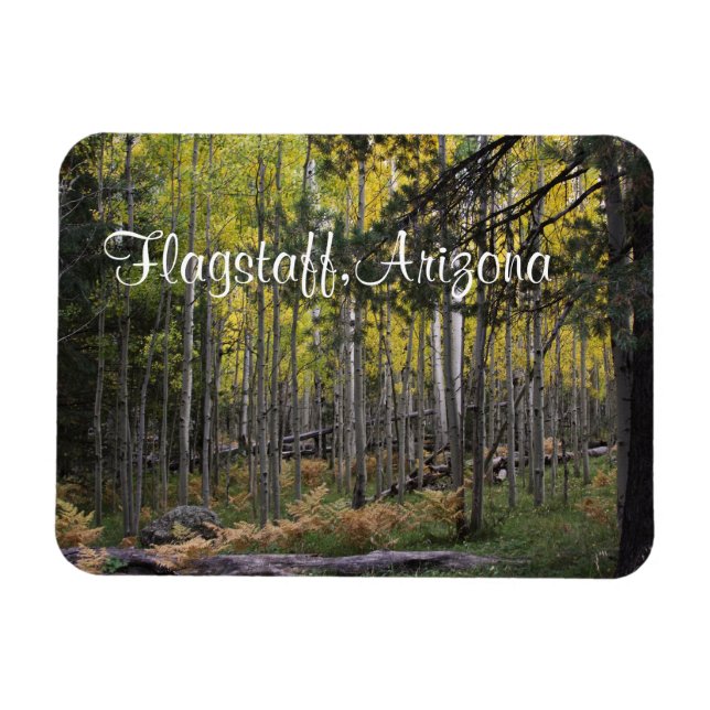 Mysigt plats i flaggpersonal magnet (Horisontell)