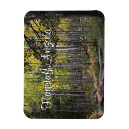 Mysigt plats i flaggpersonal magnet