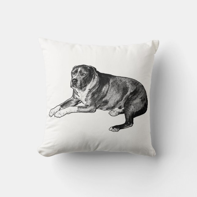 Mysigt Tecknad Charm - Raster Hund Kudde (Framsida)