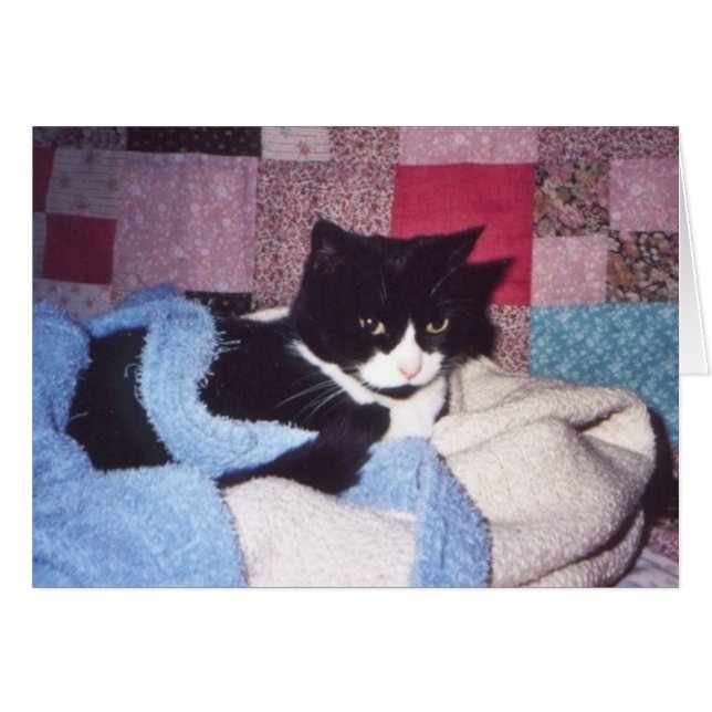 "Mysigt Tiki" Hälsningskort (Framsidan Horizontal)