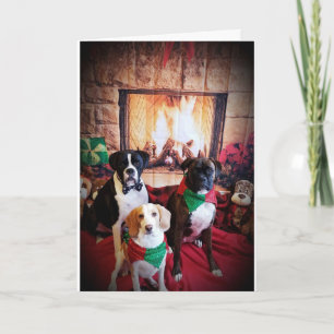 MYSIGT/WARM GOD JUL/GOTT NYTT ÅR HELGKORT
