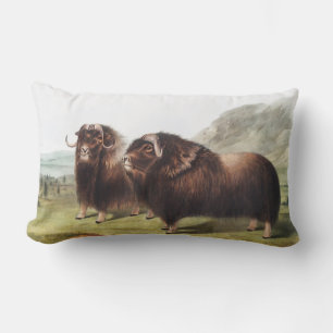 Mysk Oxe (Ovibos moschatus) Illustration Lumbarkudde
