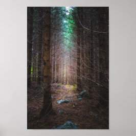 Mysterik grusskog poster