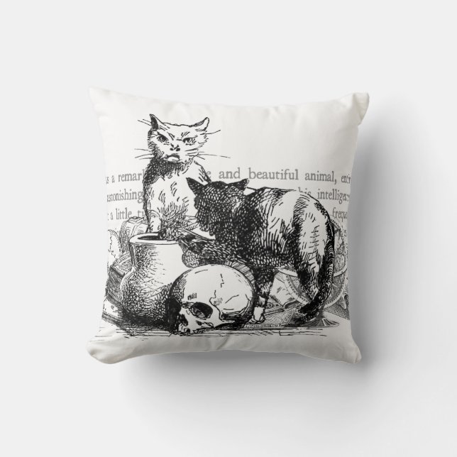 Mysterika katter kudde (Framsida)