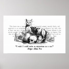 Mysterika katter poster