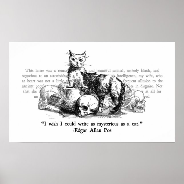 Mysterika katter poster (Framsidan)