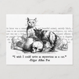 Mysterika katter vykort