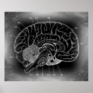 MYSTERIÖS BRAIN POSTER