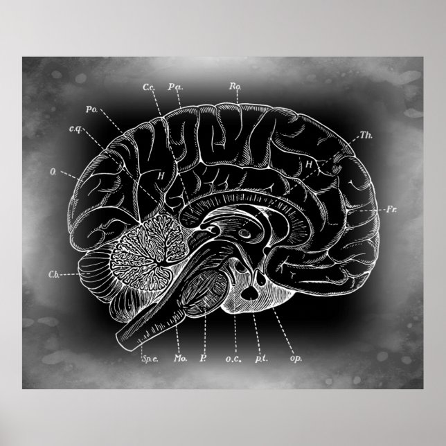 MYSTERIÖS BRAIN POSTER (Framsidan)