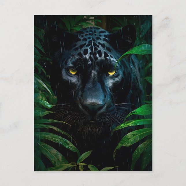 Mysterious Black Panther Jungle Wildlife Design Vykort (Framsida)