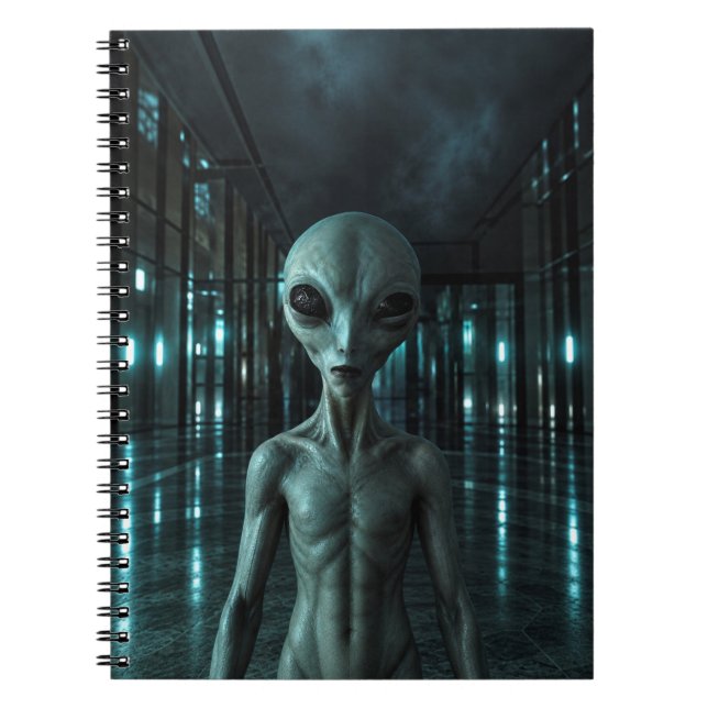 Mysterious Grey Alien Anteckningsbok (Framsidan)