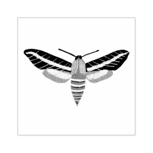Mysterious Magic Moth Hand plockade CUSTOMIZE IT Stämpel
