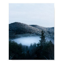 Mysterisk dimma som fångats i vinterskog