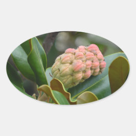 Mysterisk natur: Poden Magnolia Ovalt Klistermärke