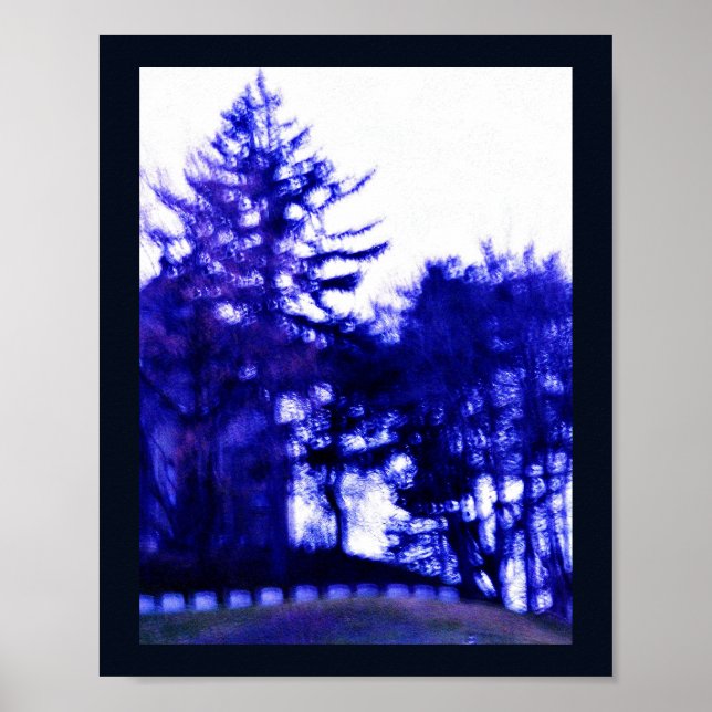Mysterisk skog poster (Framsidan)