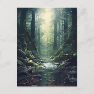 Mysterisk skog vykort