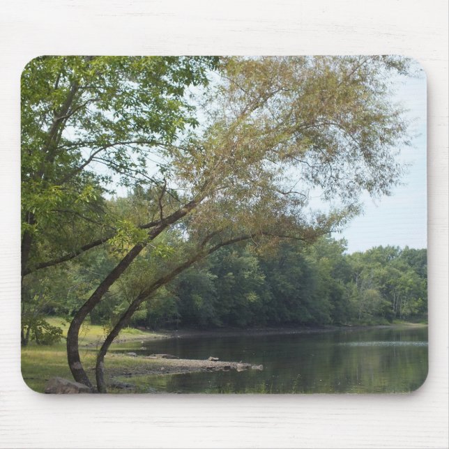 Mysterisk trämus musmatta (Framsidan)