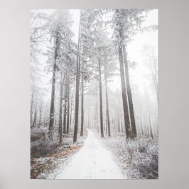 Mysterisk väg i en frusen dimmig skog poster