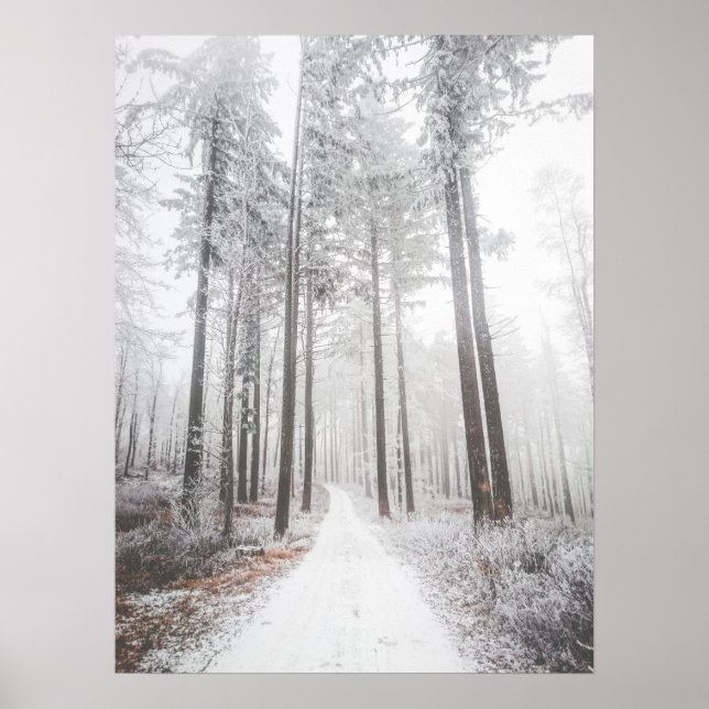 Mysterisk väg i en frusen skog poster (Framsidan)