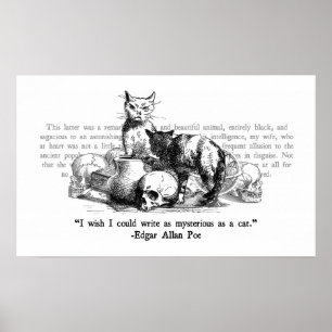 Mysteriska katter poster