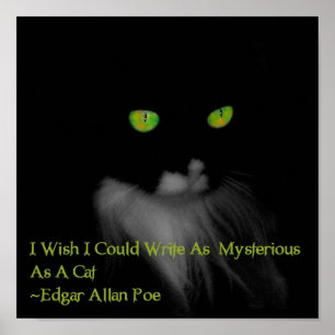 Mysteriskt katt poster