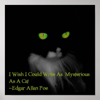 Mysteriskt katt poster