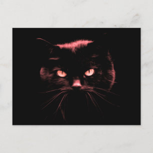 Mysteriskt katt vykort