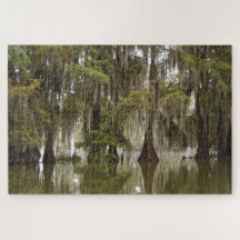 Mysteriskt magiskt Acadiskt cypress Swamp Puzzle