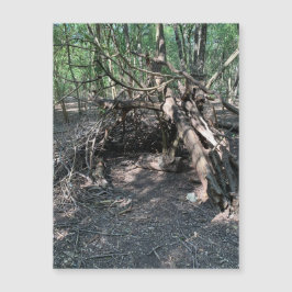 Mysteriskt strukturmagnet