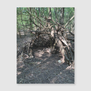 Mysteriskt strukturmagnet