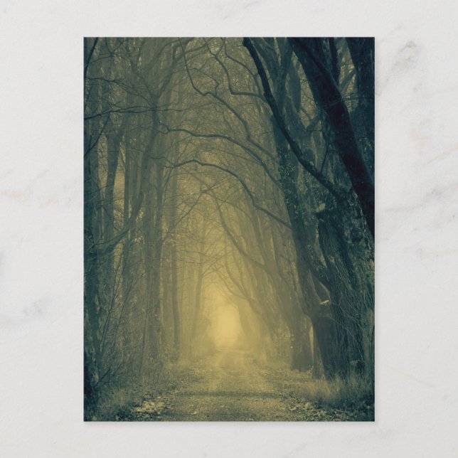 Mystert gult i skogen vykort (Framsida)