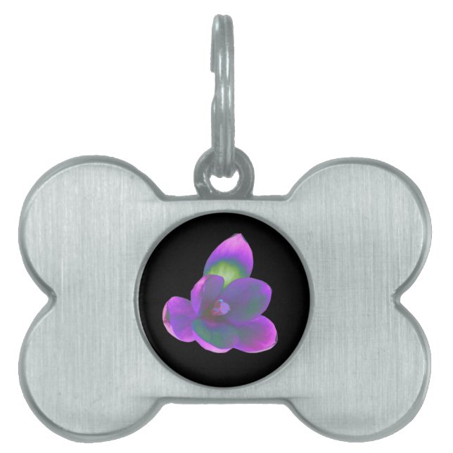 Mystic Beauty Crocus Flower Pet Tag Namnbricka Husdjur (Framsidan)